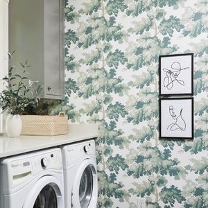 Raphael Green Wallpaper